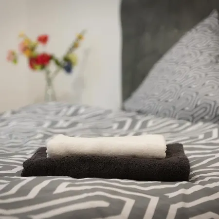 Cosy De 80 M2 Proche Parc Et Hypercentre Appartamento Mulhouse